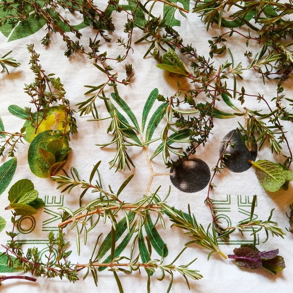 Meet your Posher, Karen - Picture 1 of 1